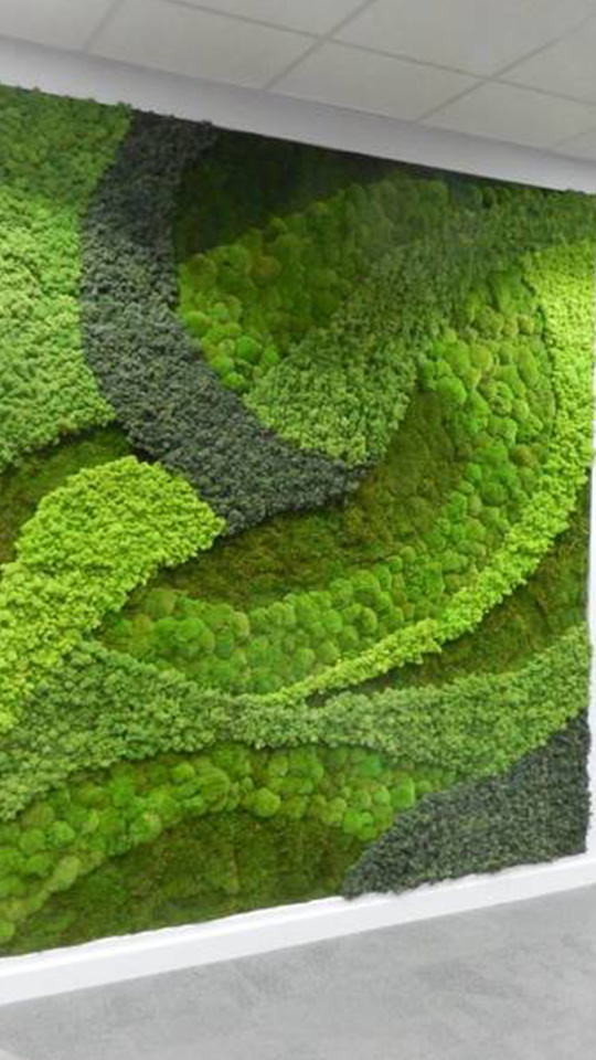 elitedesign_moss_musgo_preservado_verde_mural_natural